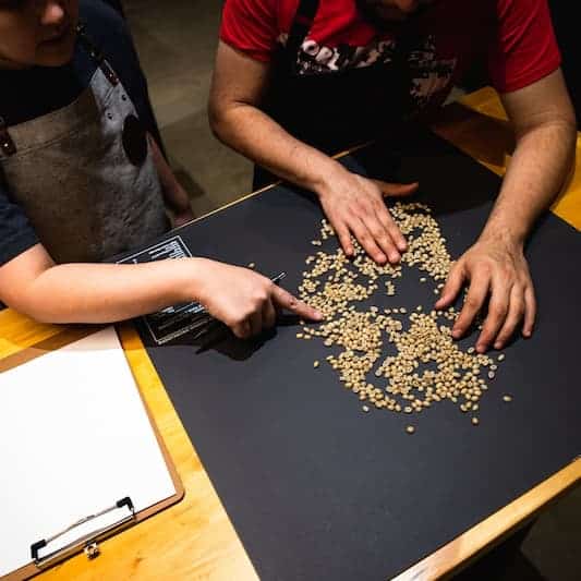 SCA Green Coffee Class